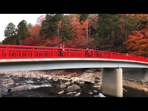 หุบเขาโครังเค Korankei ชมใบไม้เปลี่ยนสีที่สวยที่สุดในนาโงย่า by รถเช่าในญี่ปุ่นพร้อมคนขับ-คนไทย