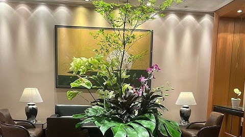 Tanya Tokyo Chuyện Bên Lề |Tanya NguyeDo- TATTT 90