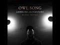 Ambrose akinmusire bill frisell herlin riley  owl song full album