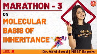 NEET Biology | Molecular Basis of Inheritance Class 12 Marathon Part-3 | Vedantu