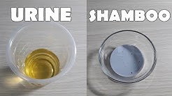 Pregnancy Test At Home With Shampoo | Shampoo Pregnancy Test Live | Pregnancy Test At Home - Durasi: 5.52. 