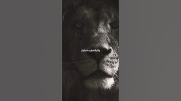 🤯 Ur Intuition is Ur SUPERPOWER💪..Use it