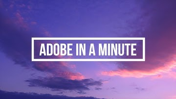 How to Create a Border Reveal Effect | Adobe Premiere Pro 2021 Tutorial