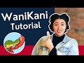 How to use wanikani to learn kanji  tutorial for beginners