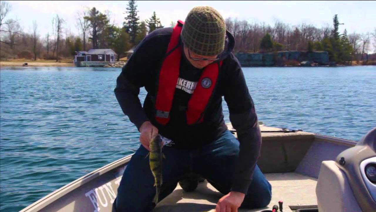 Perch Fishing March 2013