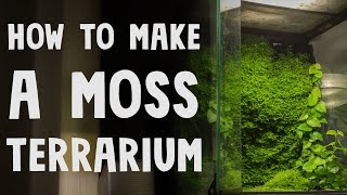 How to Make a Moss Terrarium