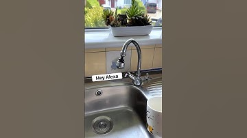 Hey Alexa - And This Happend😳🤣 #shorts #shortswithcamilla