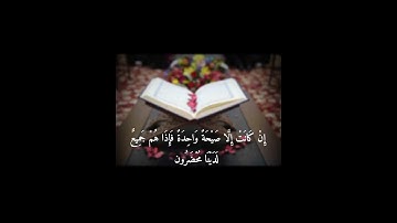 من سورة يس للشيخ سعود الشريم