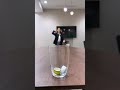 キャップチャレンジ😆 #上司と部下 #会社紹介 #中途採用 #転職 #まじシゴ