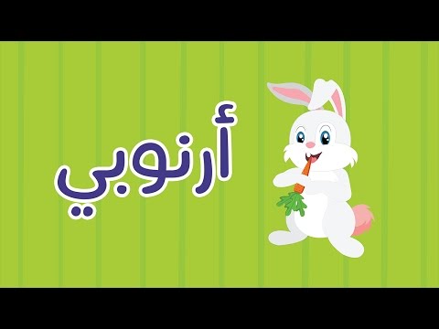 عالم مرح أرنوبي   فيديو كلمات الأغنية