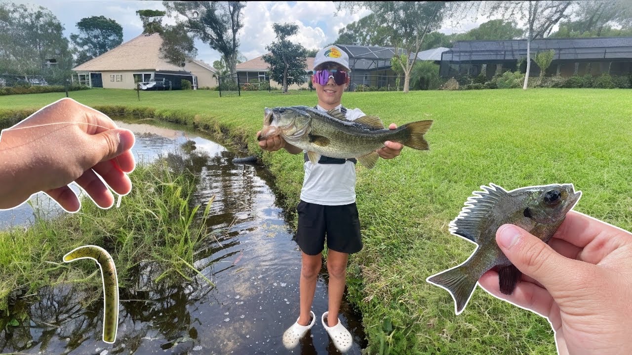 Wacky rig fishing for giant fish!! Subscribe - YouTube