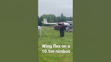 Wing flex on a 10.5m nimbus