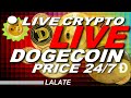 CRYPTO LIVE NEWS DOGECOIN LIVE STREAM NOW | DOGECOIN LIVE CHART LIVE STOCK PRICE 🚀BEST COIN TO BUY
