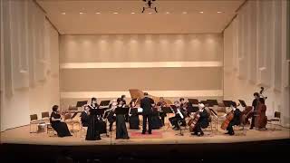 Алессандро Скарлатти. Симфония Concerto Grosso № 1 фа-мажор (F-dur), R.533.