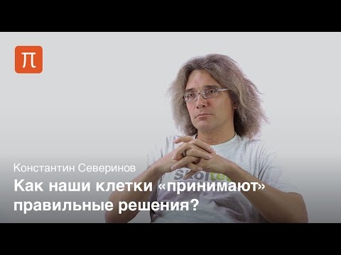 Видео: Основной подход к лекарственной терапии ЦНС: трансляционное прогнозирование распределения человеческого мозга, кинетика целевого сайта и терапевтические эффекты