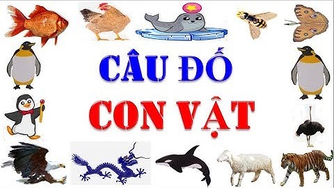 Câu đố con vật cho bé ❤️ Đố vui về con vật ❤️ Phần 2