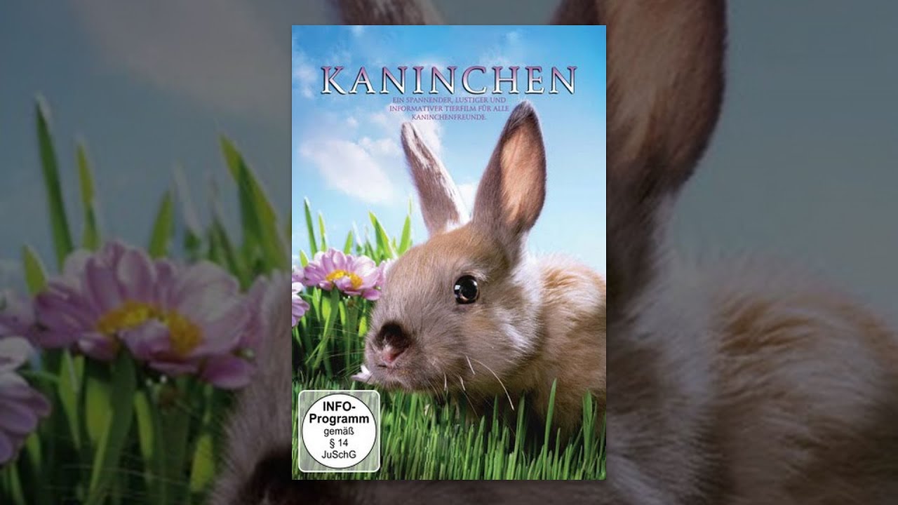 Kaninchen