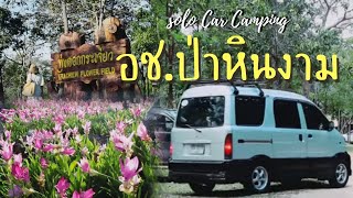 Mini Campervan Solo | ทุ่งดอกกระเจียว ลานหินงามล้านปี อุทยานแห่งชาติป่าหินงาม ชัยภูมิ #นอนในรถ