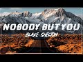 Blake Shelton - Nobody But You (Lyric)