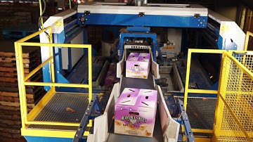 Palletizing | Automatic Palletizing machine VPM-10 by Verbruggen | stacking boxes of onions