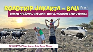 Roadtrip Jakarta-Bali! Sunset Taman Nasional Baluran, SPKLU Tol Trans Jawa, Hotel Kokoon Banyuwangi