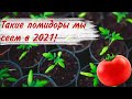 Сорта томатов 2021. Наш выбор профессиональных и любительских сортов помидор.