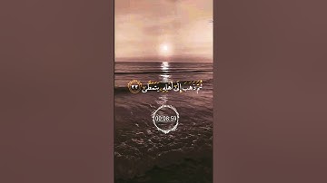 {أَيَحْسَبُ الْإِنسَانُ أَن يُتْرَكَ سُدًى} تلاوة - رائعة 💫🍃