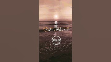 {أَيَحْسَبُ الْإِنسَانُ أَن يُتْرَكَ سُدًى} تلاوة - رائعة 💫🍃
