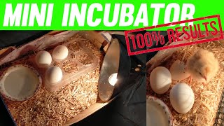 : How to make cheapest incubator at home with 100% result guarantee #incubator