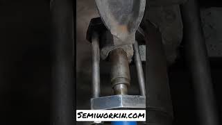 Freightliner Bushings