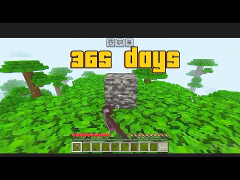 breaking bedrock in minecraft fo 365 days (world record)