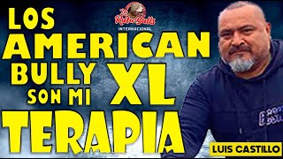 ☝☝❗LOS AMERICAN BULLY XL SON MI TERAPIA ❗👇👇 by La Ruta Bulls 2,163 views 10 months ago 18 minutes