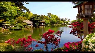 日本金澤市「兼六園」