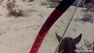 OTTB mounted archery by Kururu93 5 views 6 years ago 2 minutes, 55 seconds