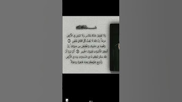 🌿 تلاوة خاشعة لآيات من سورة لقمان | بصوت عذب يلامس القلب 🌙