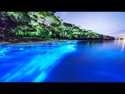 Video: Espectaculares ciudades frente al mar en todo el mundo para los bebés de la playa