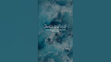 Surah Al Ma'idah | سورة المائده#almaidah #maidah #maida #المایده#مایده #surah #sura #سورة #سوره