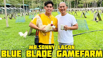BLUE BLADE GAMEFARM | Big Farm in Laguna City Philippines | Sonny Lagon | Farm Visit