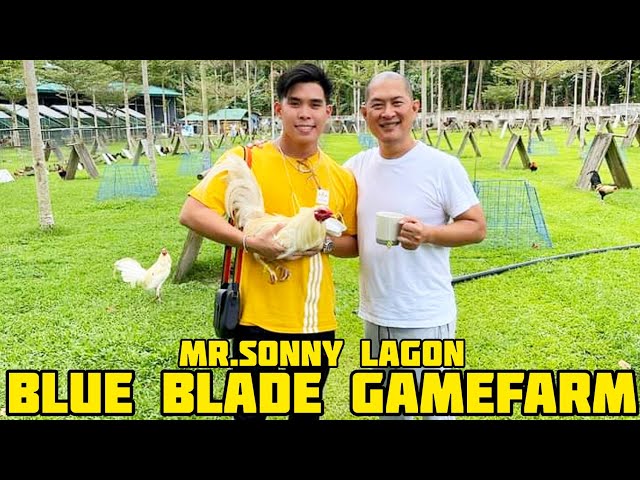 BLUE BLADE GAMEFARM | Big Farm in Laguna City Philippines | Sonny Lagon | Farm Visit class=