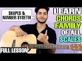 How to memories all chords family by shapes  number system  chords families in hindi