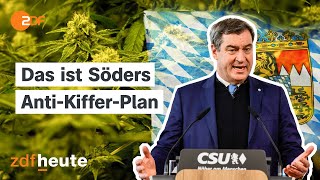 Härtere Strafen als fürs Rasen: Wie überzogen sind Bayerns CannabisBußgelder?