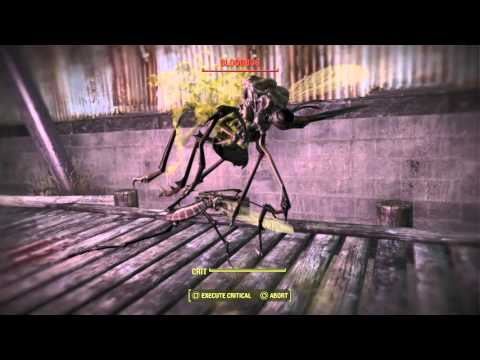 The bloodbug that wouldn't die