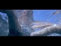 Jaws 2 | Close Call