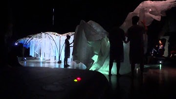 Metamind Flow Fields, AAIS