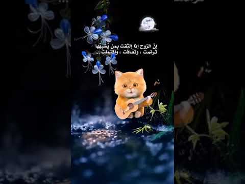 الروح للروح دايما بتحن