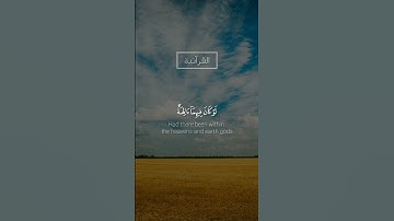{أَمِ ٱتَّخَذُوٓاْ ءَالِهَةٗ} الشيخ محمد صديق المنشاوي ما تيسر من سورة الأنبياء