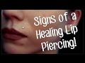 Signs of a Healing LIP Piercing!