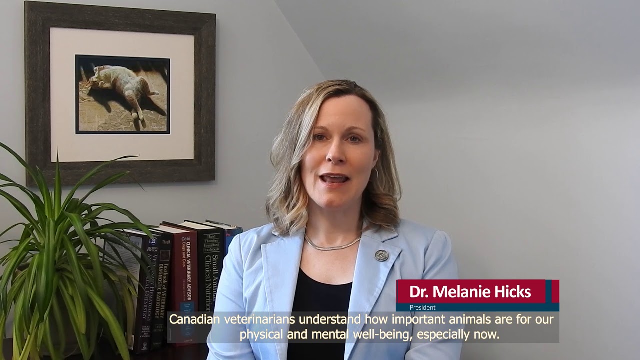 The CVMA Understands The Concerns You Have About Your Animals During ...