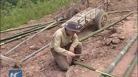 24579 rizne Archéologie New China Cretaceous fossils discovered in south China