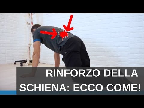 Video: Come Rafforzare La Parte Bassa Della Schiena